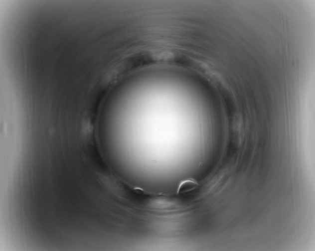 X0000099960614200805231342