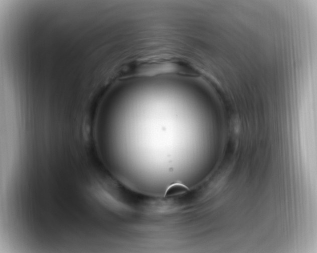 X0000099960615200805231342