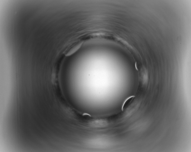 X0000099960619200805231342