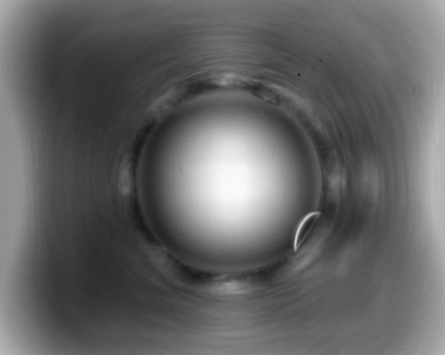 X0000099960620200805231342