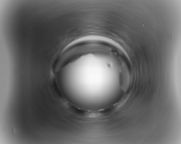 X0000099960621200805231342