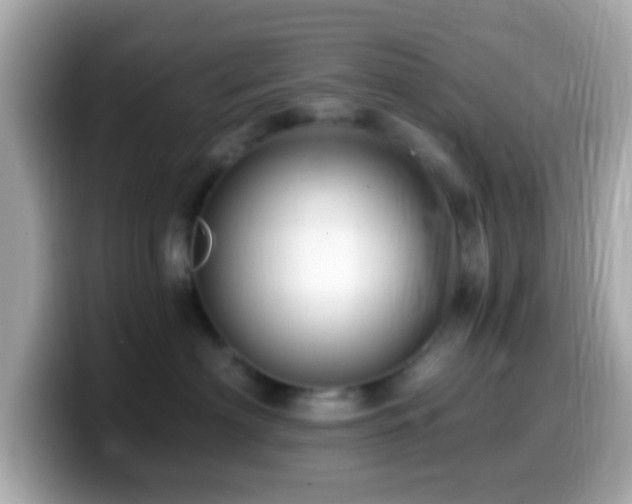 X0000099960622200805231342