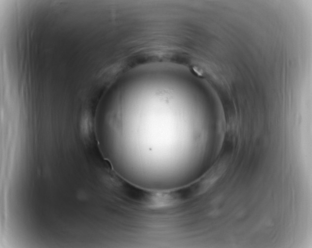 X0000099960623200805231342