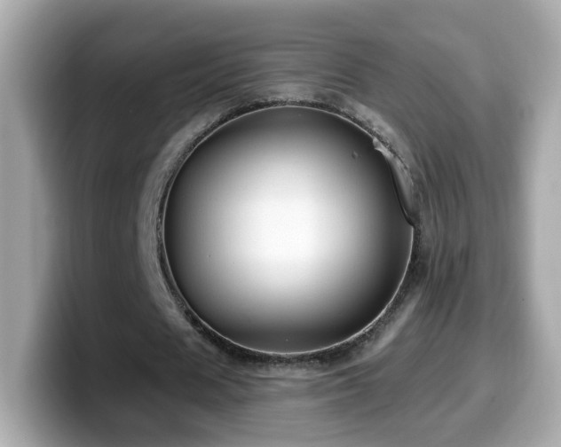 X0000099960625200805231341