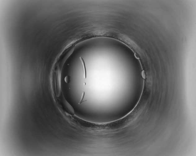 X0000099960626200805231341