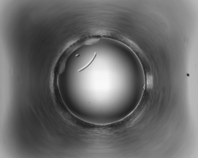 X0000099960627200805231342