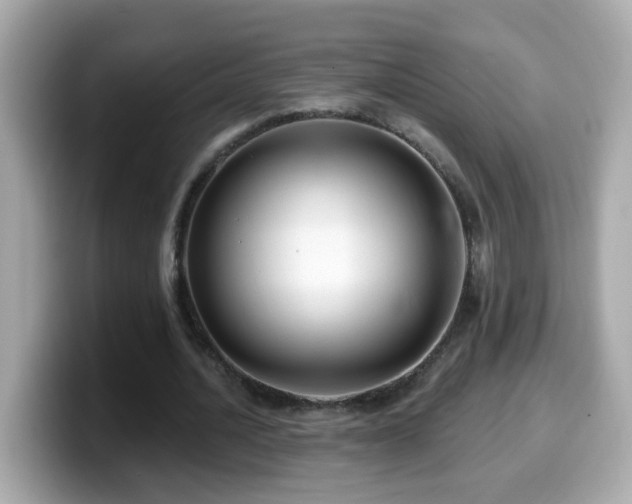 X0000099960628200805231342