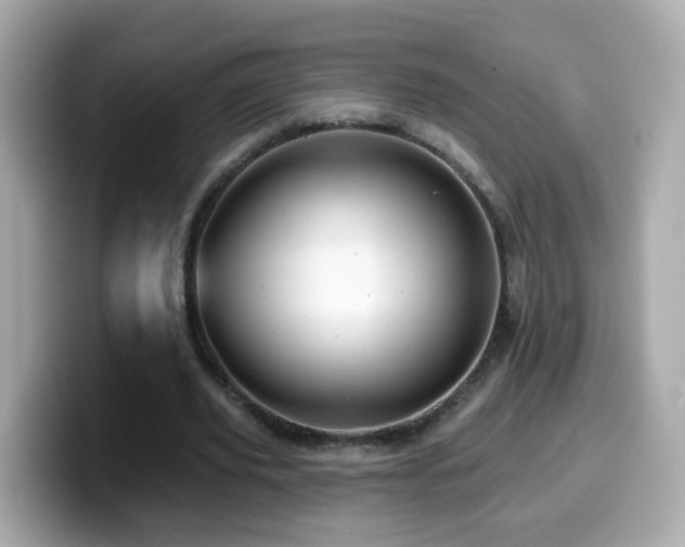 X0000099960629200805231342