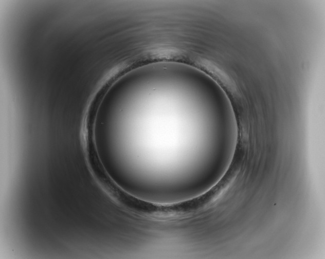 X0000099960630200805231342