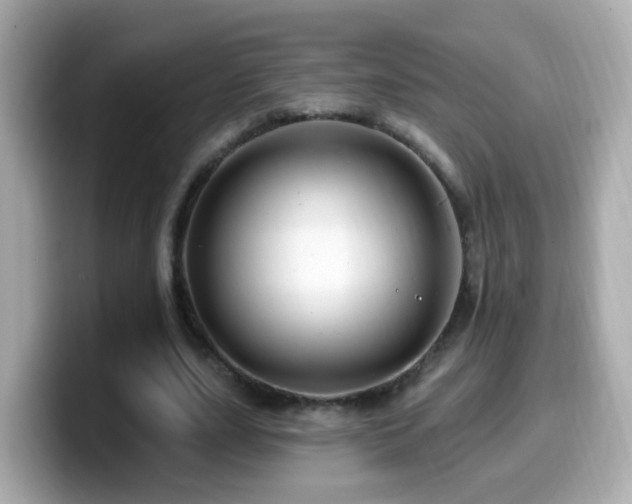 X0000099960631200805231342