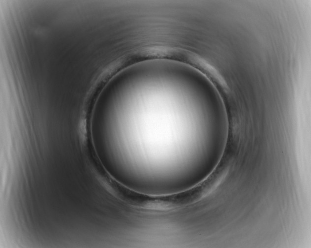 X0000099960633200805231342