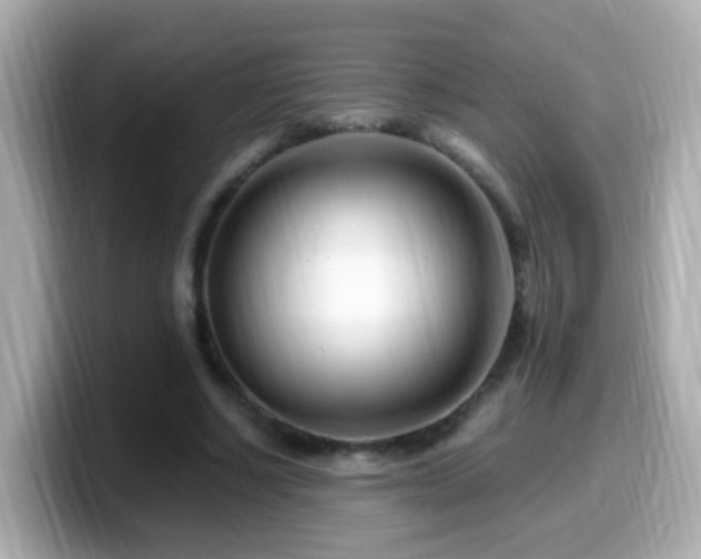 X0000099960634200805231342