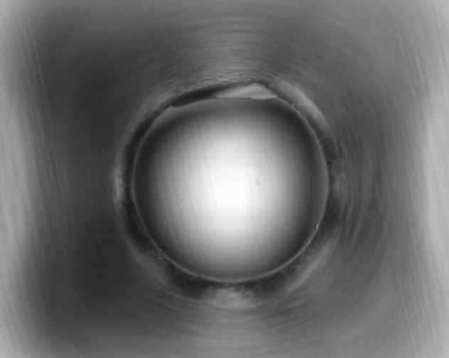 X0000099960635200805231342