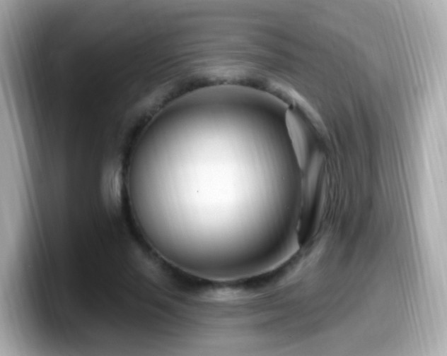 X0000099960637200805231342