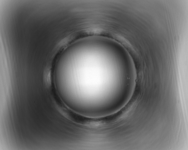 X0000099960638200805231342