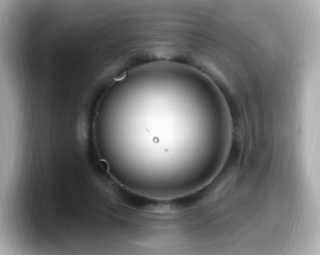 X0000099960639200805231342