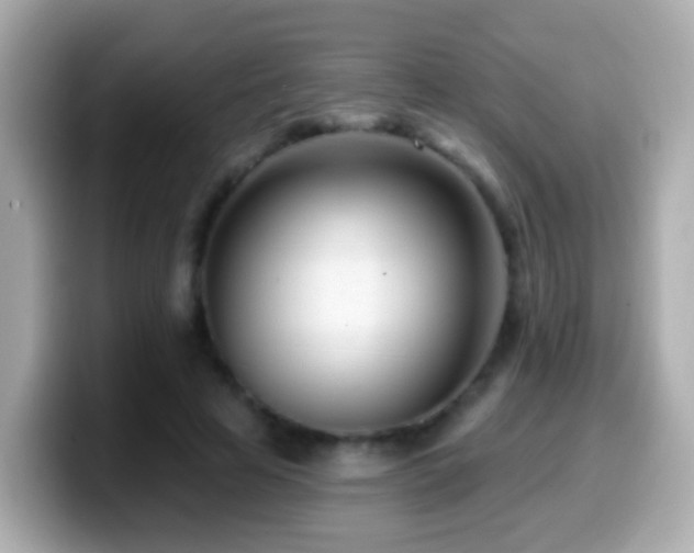 X0000099960641200805231342