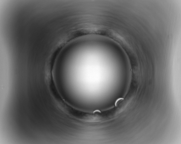 X0000099960642200805231342