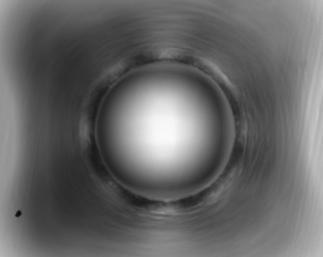 X0000099960643200805231342