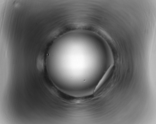 X0000099960644200805231342