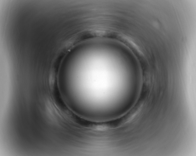 X0000099960645200805231342