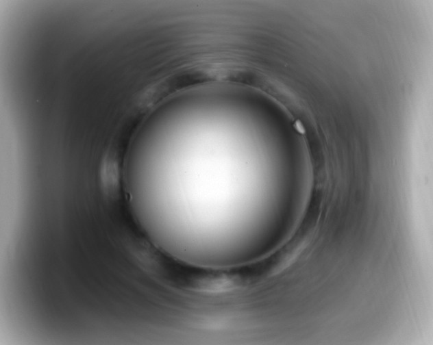 X0000099960646200805231342