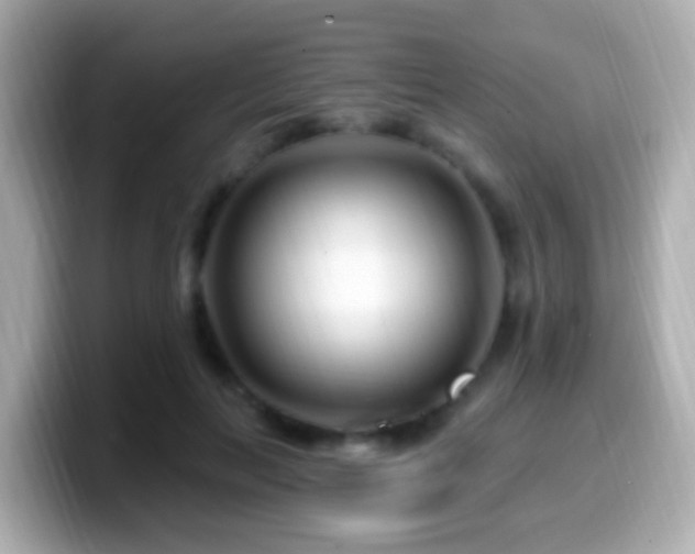 X0000099960647200805231342