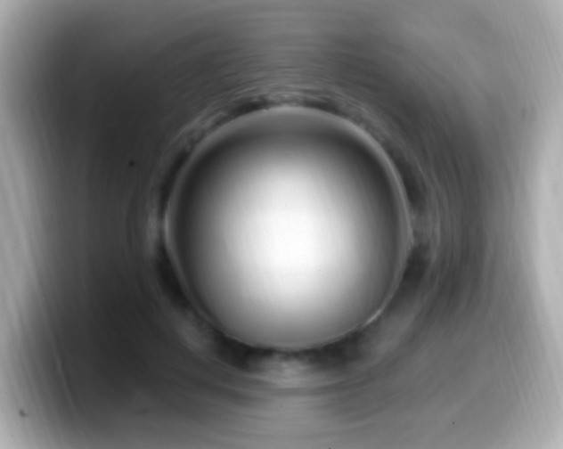 X0000099960648200805231342