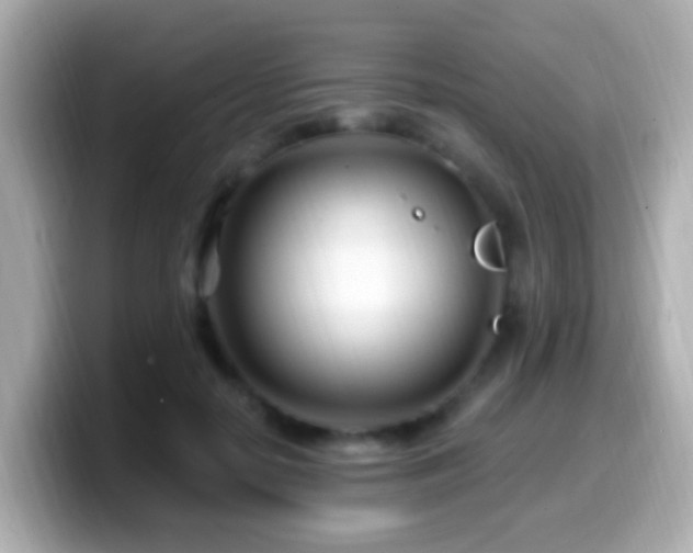 X0000099960650200805231342