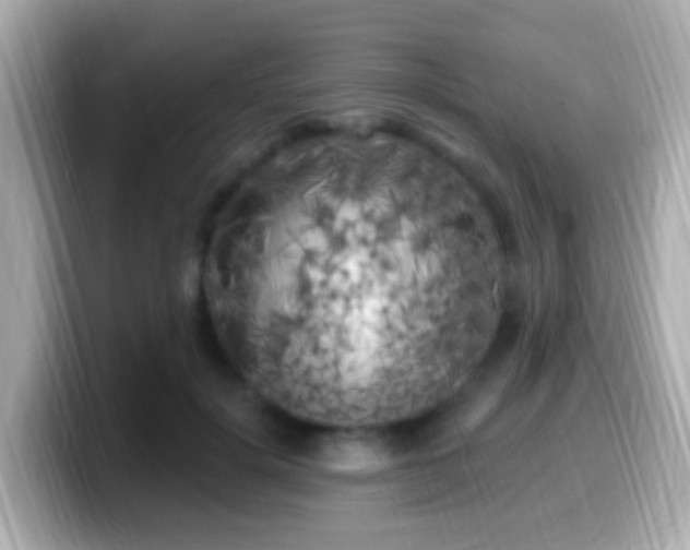 X0000099960652200805231342