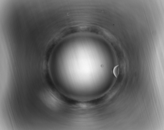 X0000099960654200805231342
