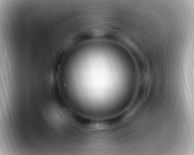 X0000099960655200805231342
