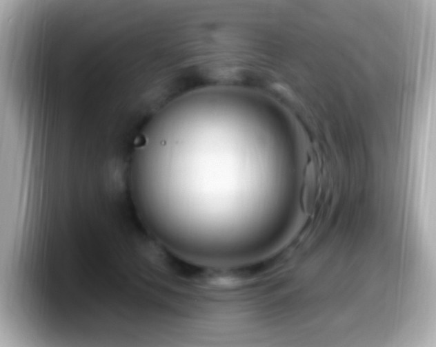 X0000099960658200805231342