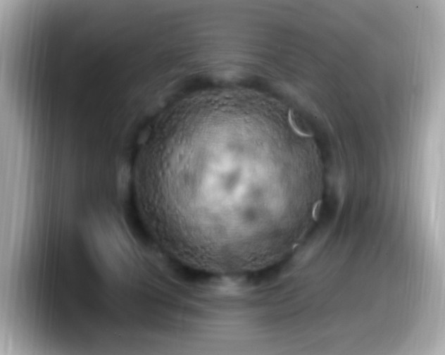 X0000099960660200805231342