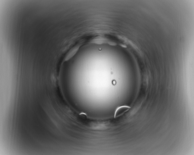 X0000099960661200805231342