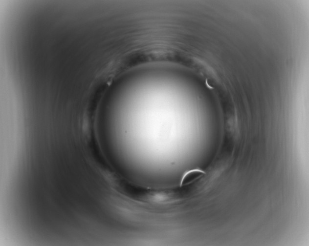 X0000099960662200805231342