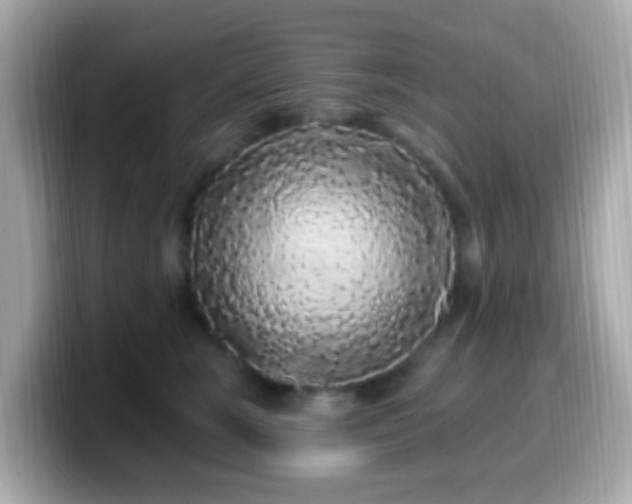 X0000099960663200805231342