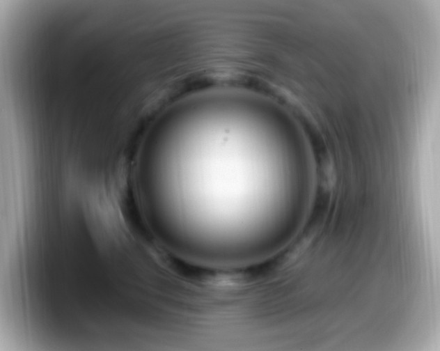 X0000099960664200805231342