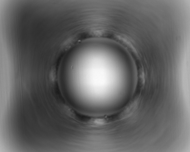 X0000099960665200805231342