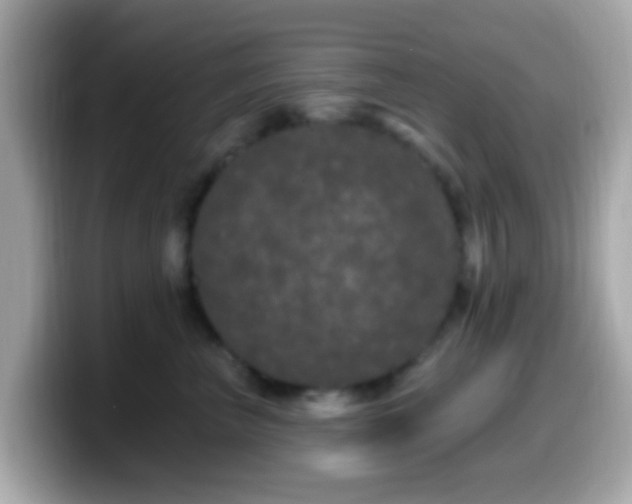 X0000099960667200805231342