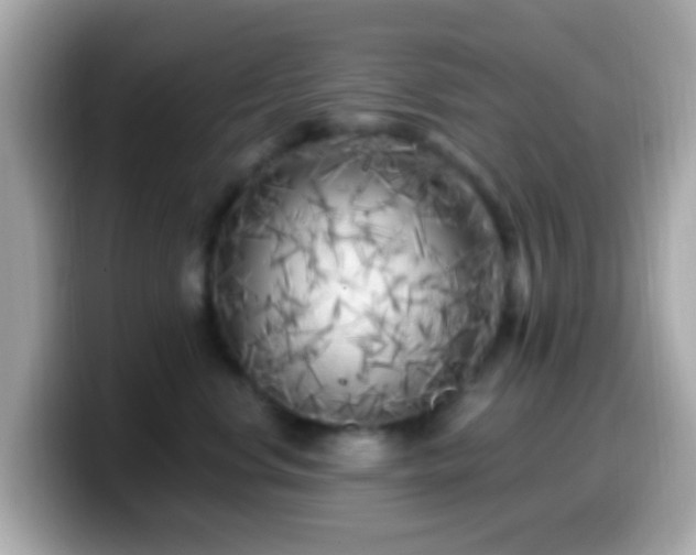 X0000099960668200805231342