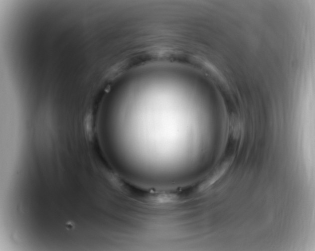 X0000099960670200805231342