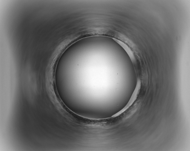 X0000099960673200805231341