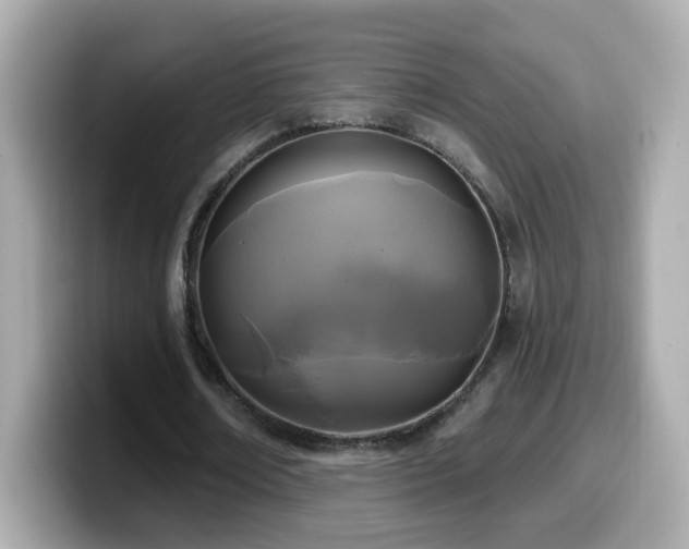 X0000099960674200805231341