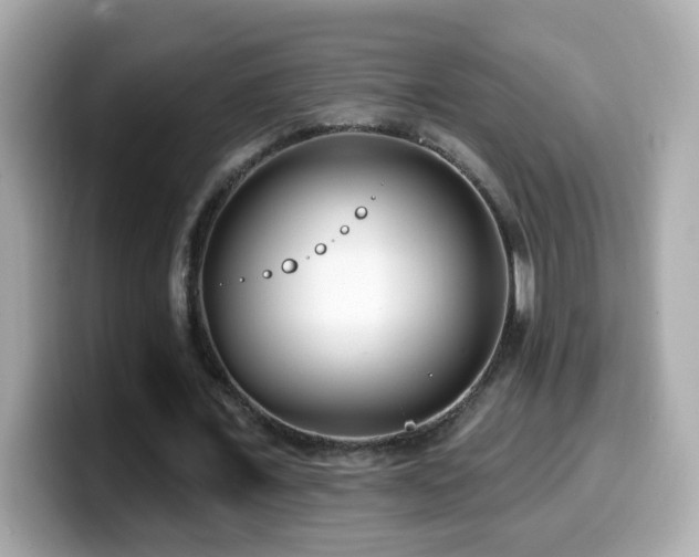 X0000099960675200805231341