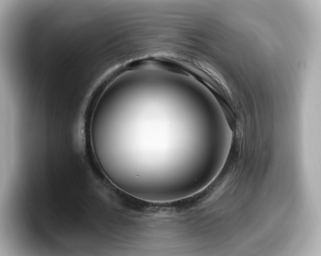 X0000099960676200805231341