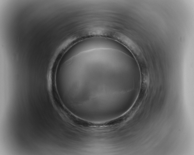 X0000099960678200805231341