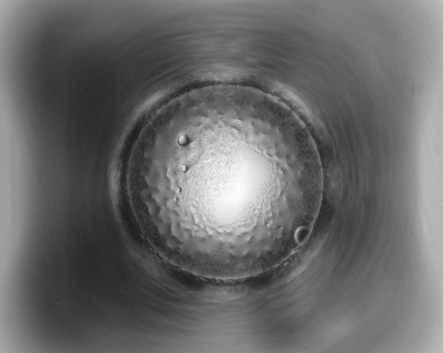 X0000099960679200805231341
