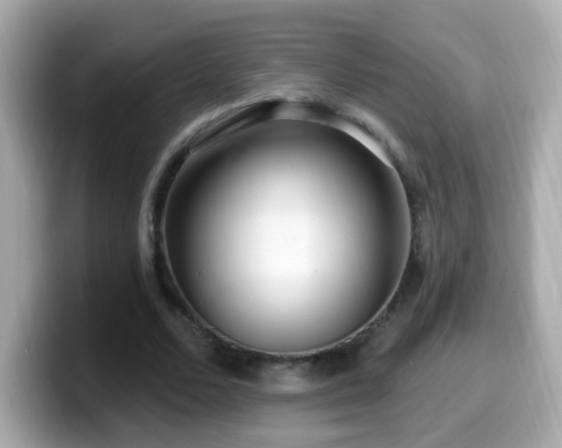 X0000099960680200805231341