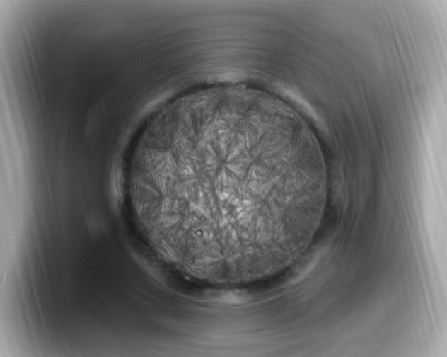 X0000099960683200805231341